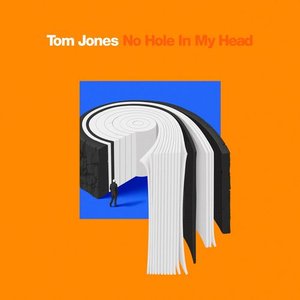 Image for 'No Hole In My Head'
