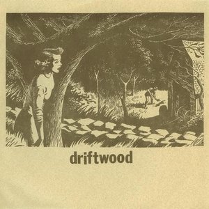 Imagen de 'Driftwood'