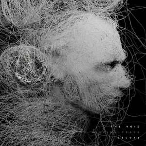 Image for 'THE VOID (DELUXE)'