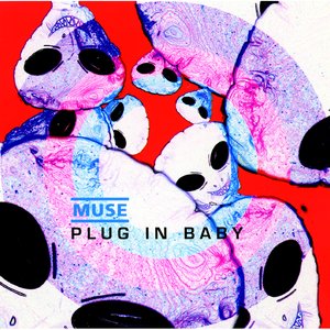 Image for 'Plug In Baby'