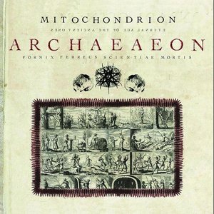 Bild für 'Archaeaeon'