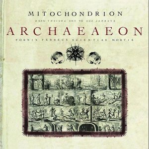 Imagen de 'Archaeaeon'