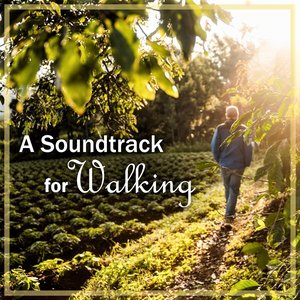 Image for 'Beethoven: A Soundtrack for Walking'