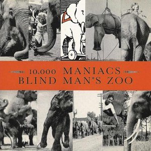 Image for 'Blind Man’s Zoo'