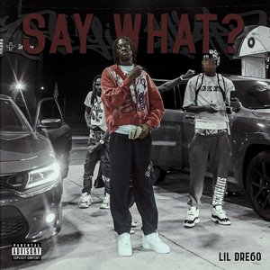 Image for 'SAY WHAT?'