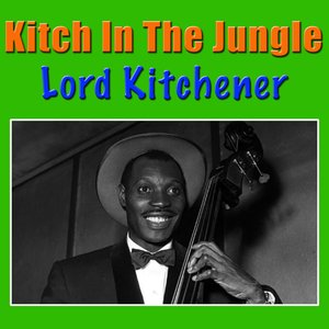 “Kitch In The Jungle”的封面