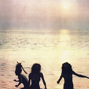 Immagine per 'The Slits'