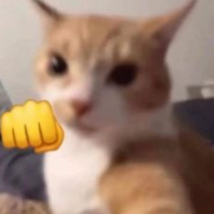 YoEnCorto