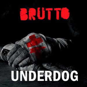 Image for 'Underdog'