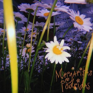 'Margaritas Podridas'の画像