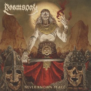 Image for 'Never Known Peace'