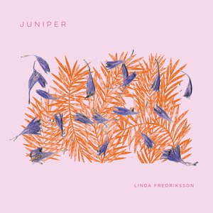 Image for 'Juniper'