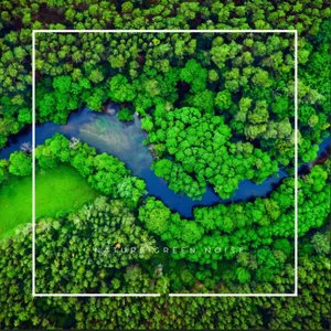 Изображение для 'Nature Green Noise'