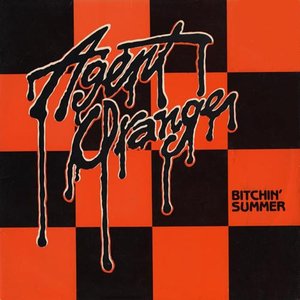 Image for 'Bitchin' Summer'