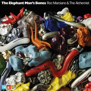 “The Elephant Man's Bones”的封面