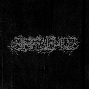 Image for 'Effluence'
