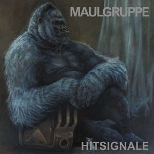 Image for 'Hitsignale'