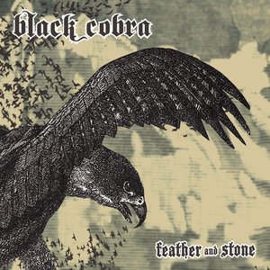 Image for 'Feather And Stone'