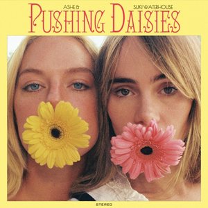 'Pushing Daisies - Single' için resim