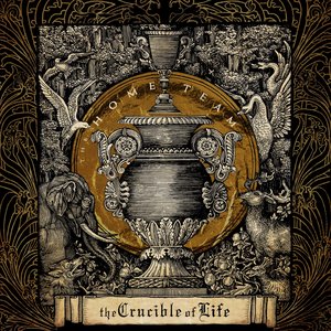 'The Crucible of Life'の画像