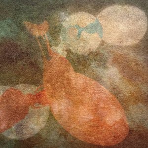 Image for 'Brödföda'