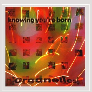 Image for 'Knowing You're Born'