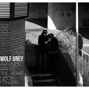 'Wolf Grey' için resim