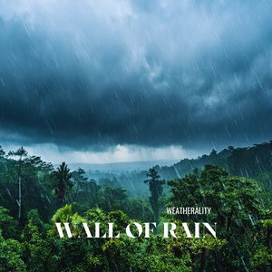 Image for 'Wall of Rain'