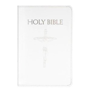 “The Holy Bible”的封面