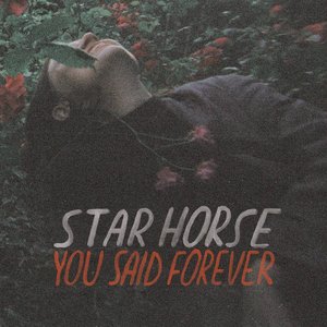 'You Said Forever (Deluxe Version)' için resim