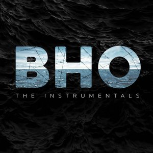 Image for 'The Instrumentals'