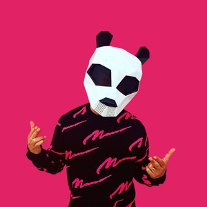 Image for 'Pink Panda'