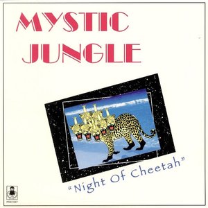 Image for 'Night Of Cheetah'