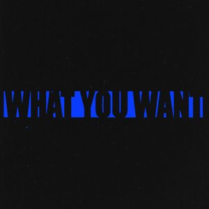 'What You Want' için resim