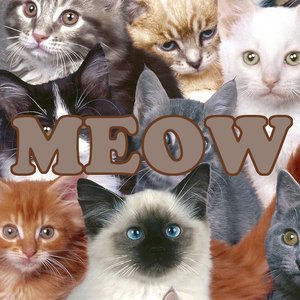 Image for 'Meow'