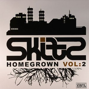 Изображение для 'Skitz Homegrown Vol. 2'