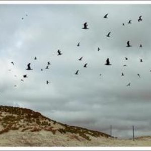 “Rubicks”的封面