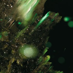 Image for 'IDSUNGWÜSSÄ'