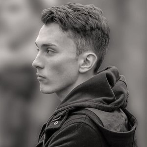 'Rosentwig'の画像
