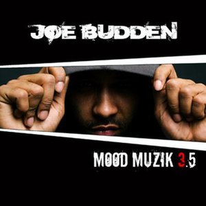 Immagine per 'Mood Muzik Vol. 3.5'