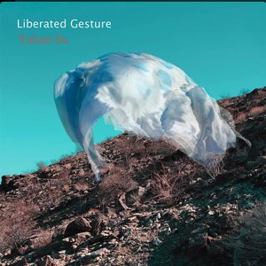 “Liberated Gesture”的封面