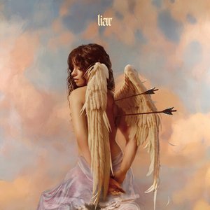 'Liar'の画像