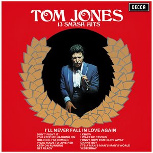 Image for '13 Smash Hits'