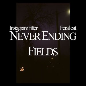 Immagine per 'Never Ending Fields'
