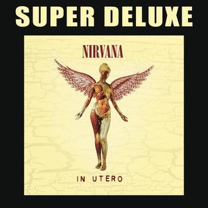 'In Utero (20th Anniversary Super Deluxe Edition)' için resim