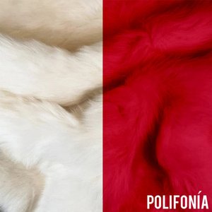 Image for 'POLIFONÍA'