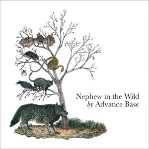 'Nephew in the Wild (Deluxe Edition)'の画像