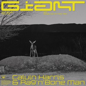 Image for 'Giant'