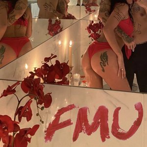 'FMU'の画像