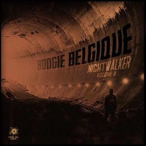 Image for 'Nightwalker (Vol. 2) (LP)'